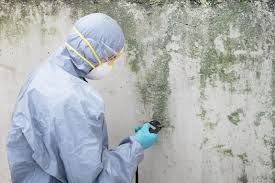 Best Residential Mold Inspection & Testing  in Cleveland, TX